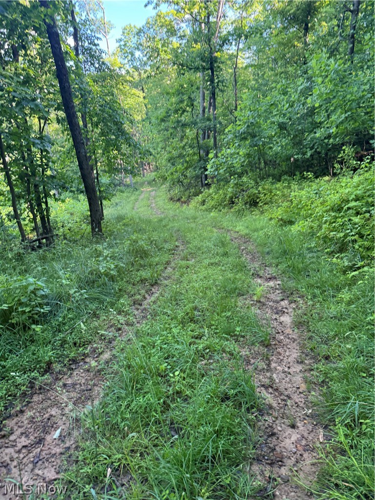 Stone Quarry Road Danville, OH 43014 - Photo 48 of 50