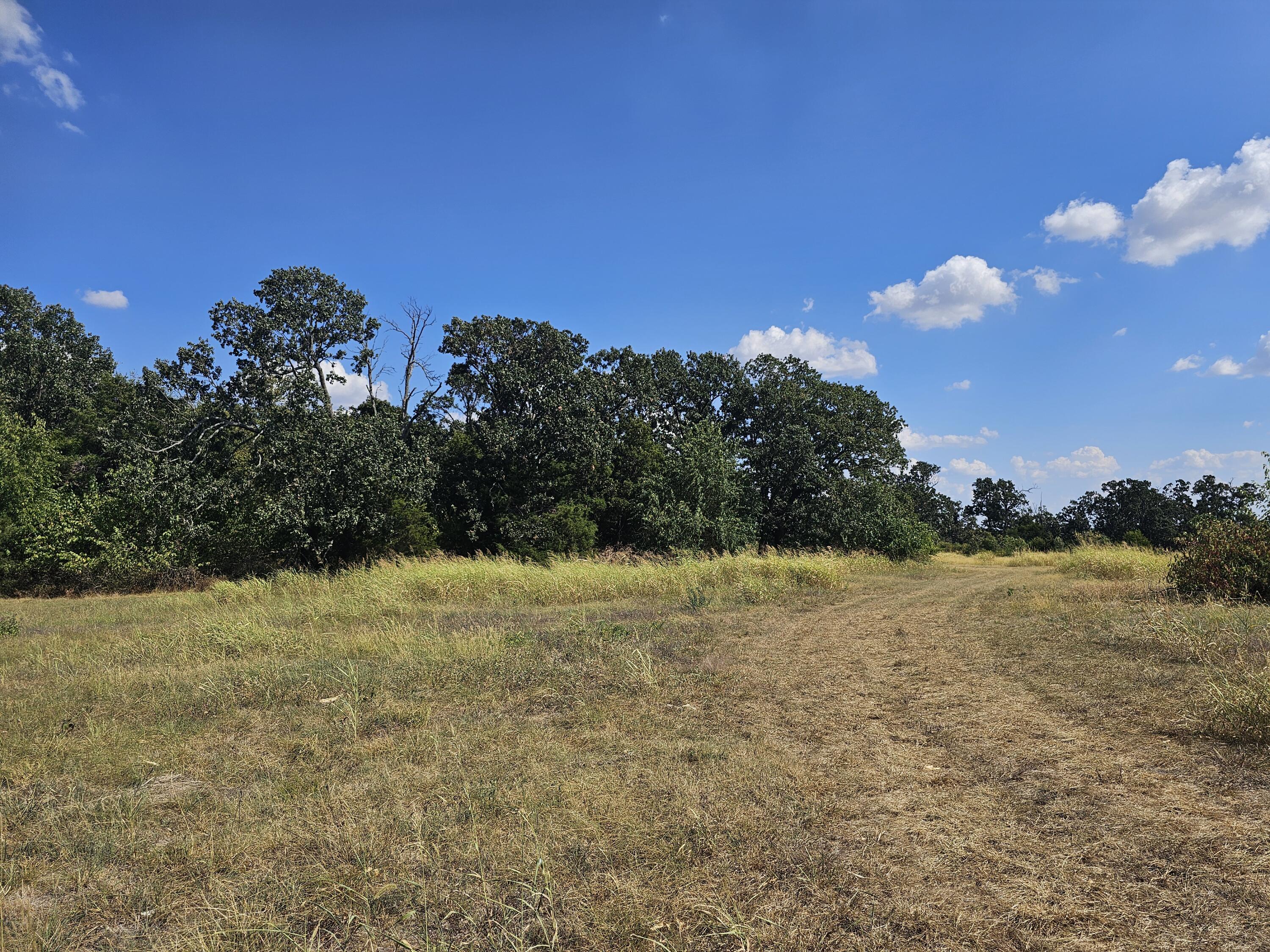 18127 State Rd H Monett, MO 65708 - Photo 45 of 65 20260909_152134