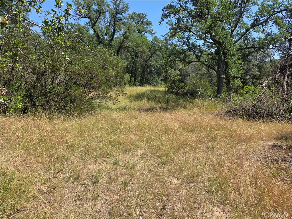 17087 Laramie Point Corning, CA 96021 - Photo 7 of 9