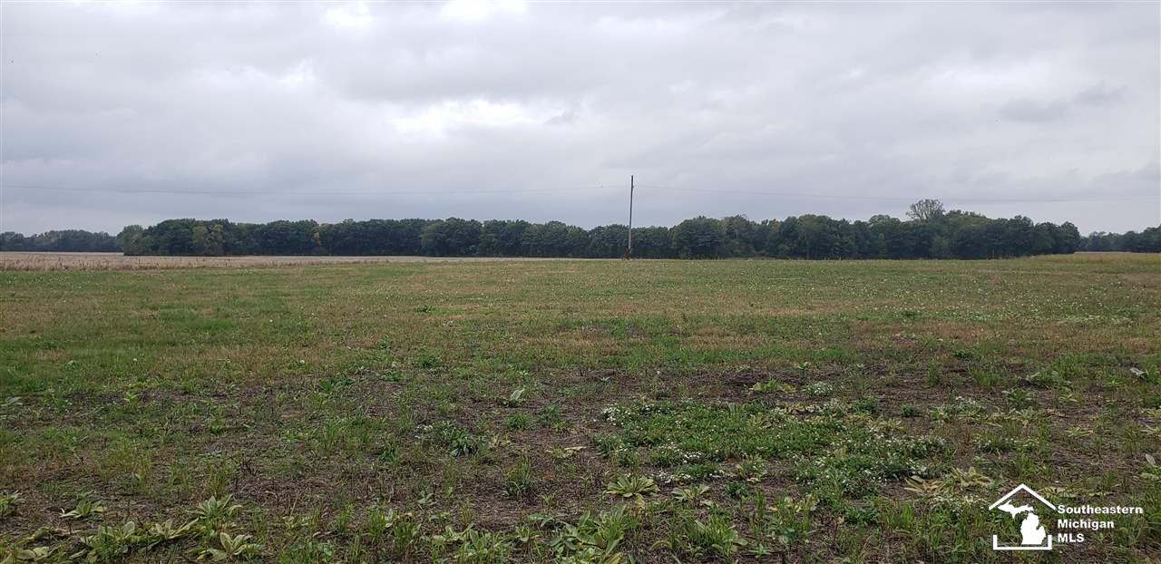 15950 Dixon Road Dundee, MI 48131 - Photo 1 of 2 50057270.JPG