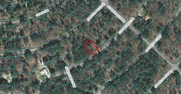 $35,000 | 0 Guava Place Drive, Ocklawaha, FL 32179