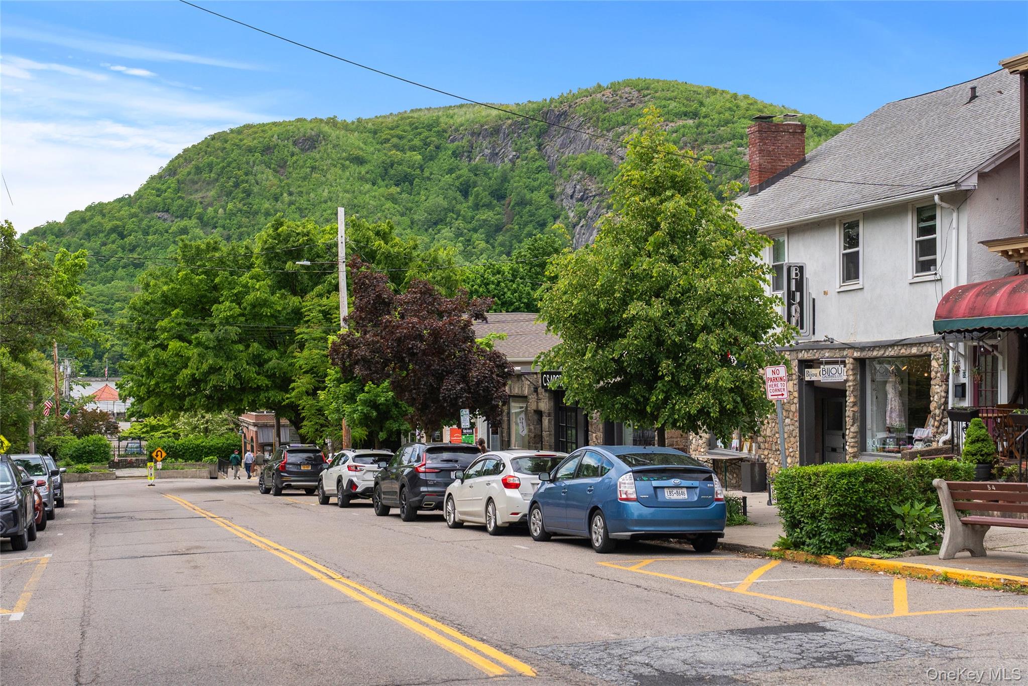 6 East Belvedere Street Cold Spring, NY 10516 - Photo 39 of 44 Downtown Cold Spring