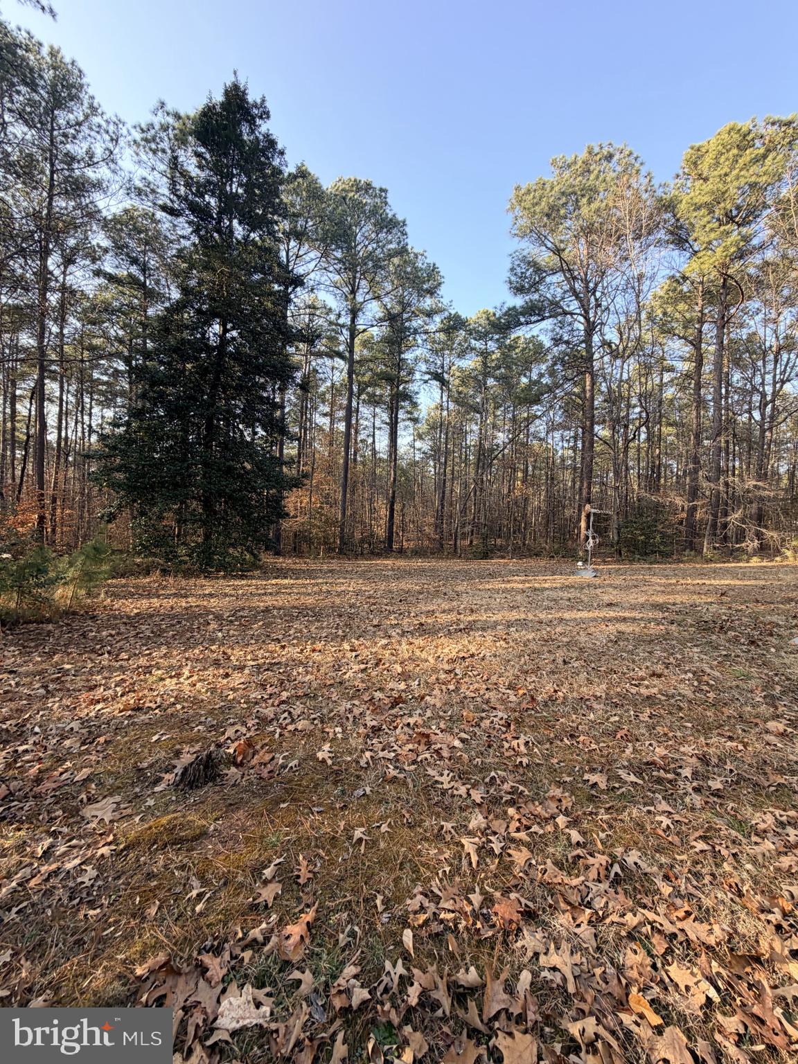 1109 Eastham Road Bumpass, VA 23024 - Photo 6 of 9 a backyard of a house with lots of green space