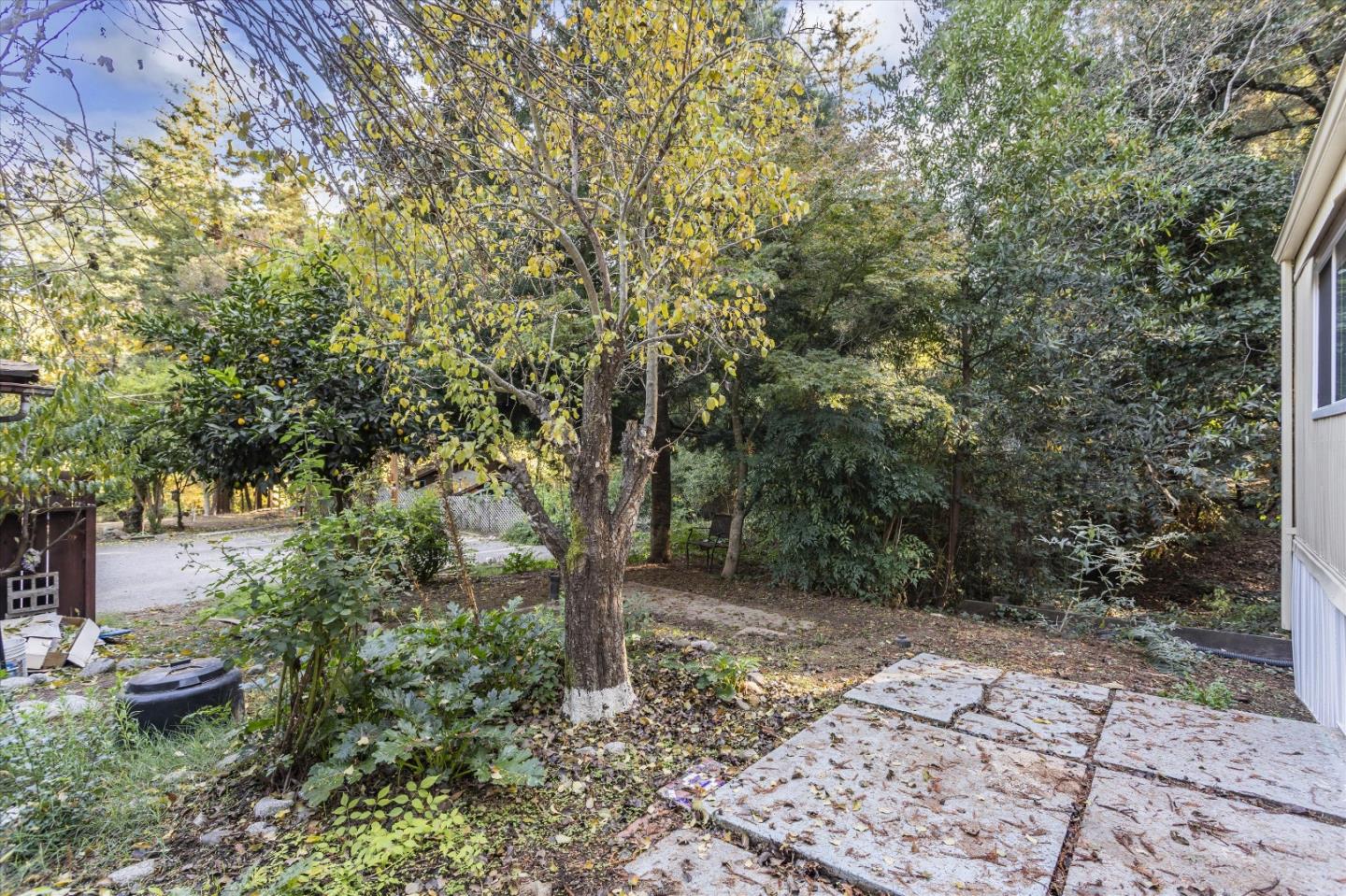 265 Brown Gables Road, Unit 34 Ben Lomond, CA 95005 - Photo 24 of 33 a view of a backyard with large trees