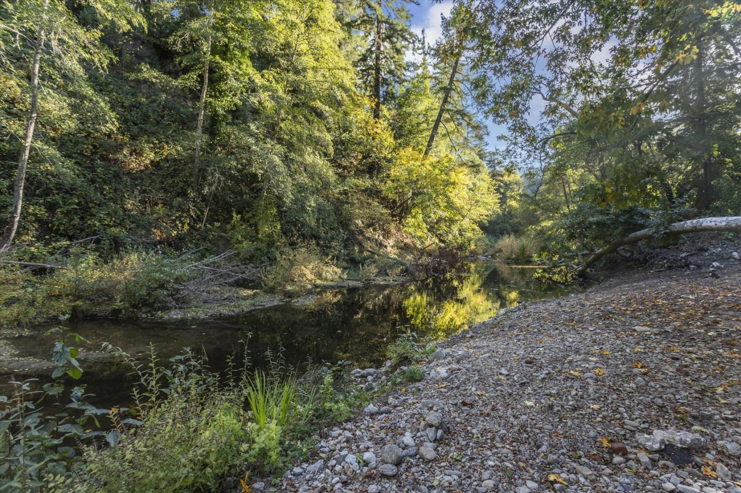 265 Brown Gables Road, Unit 34 Ben Lomond, CA 95005 - Photo 33 of 33 a view of a yard with a tree