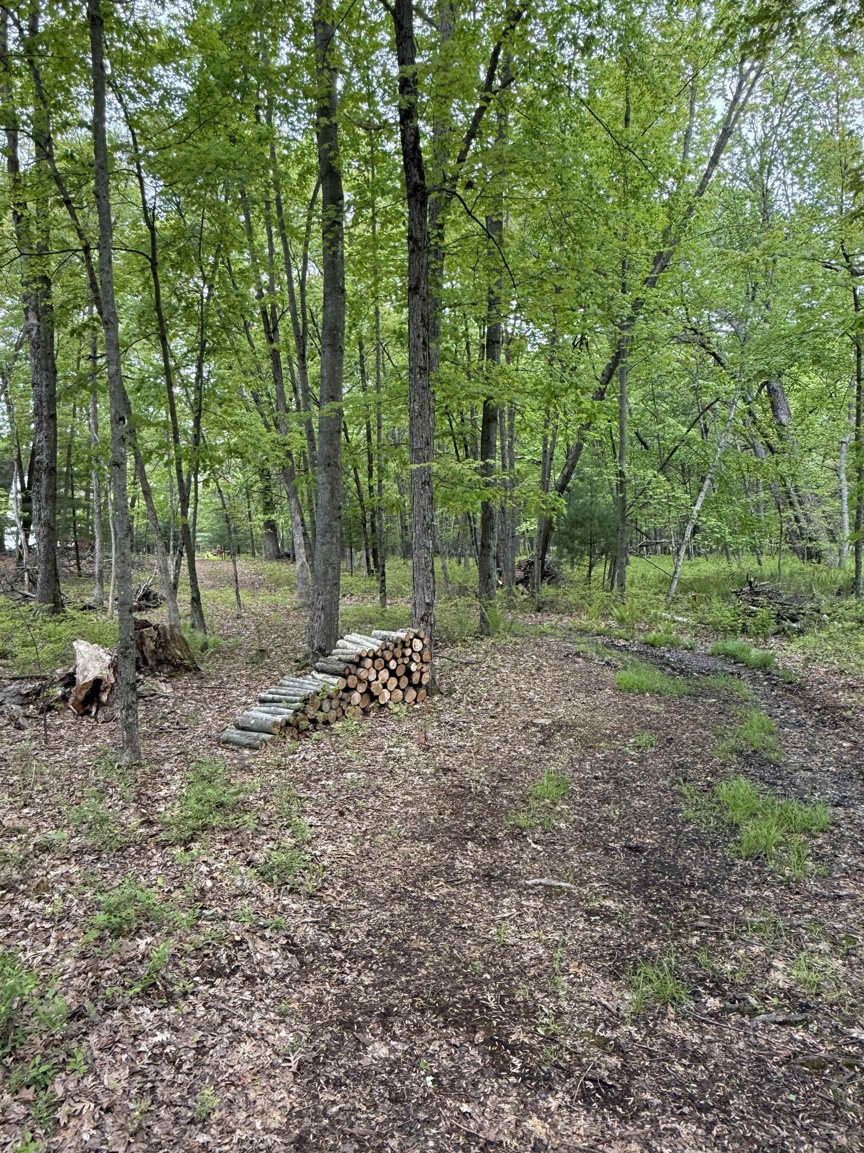 N3381 Deer Run Montello, WI 53949 - Photo 20 of 24