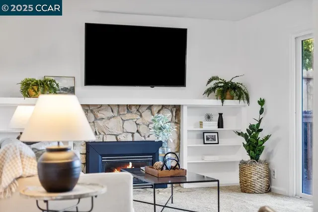 a living room with furniture and a potted plant