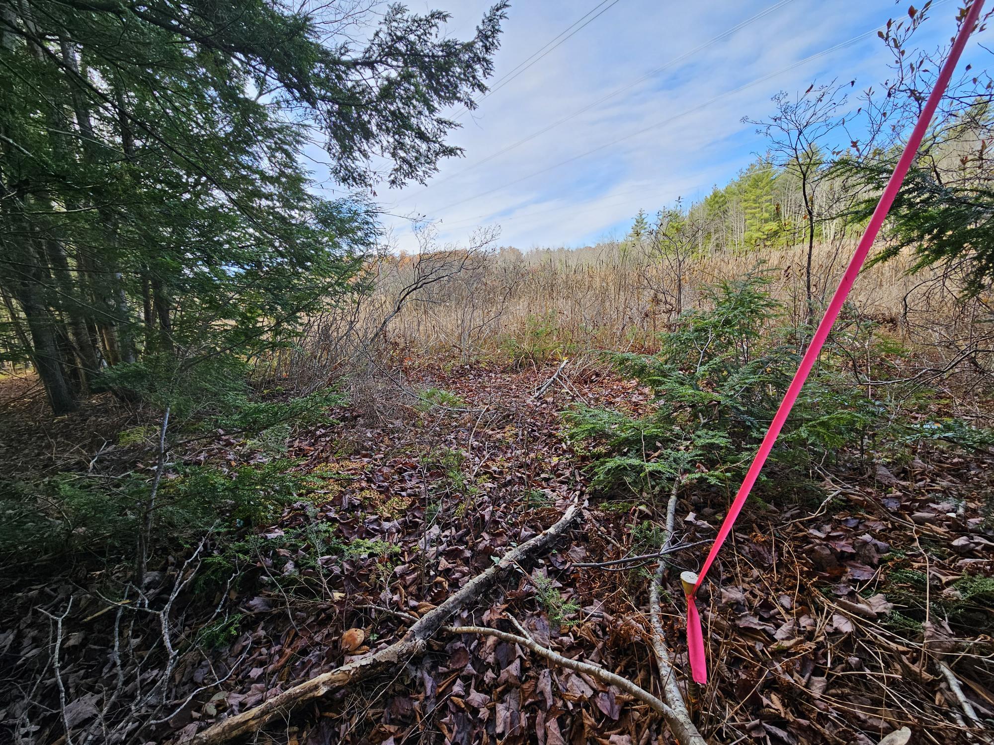 11 Old Alfred Road Waterboro, ME 04087 - Photo 32 of 38 20231103_110808