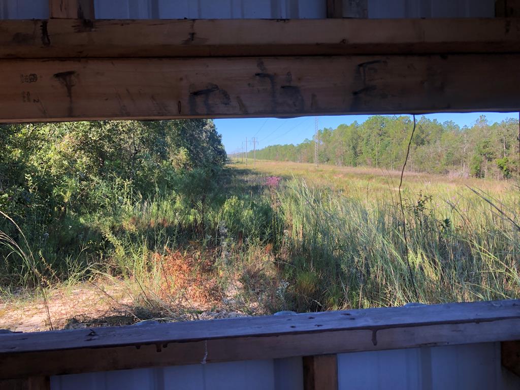 Undisclosed Address Samson, AL 36477 - Photo 36 of 39