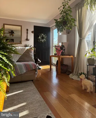 a living room with furniture a clock and a potted plant