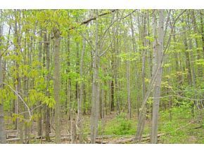 501 Meeker Road Vestal, NY 13850 - Photo 3 of 6 Gallery Image 3