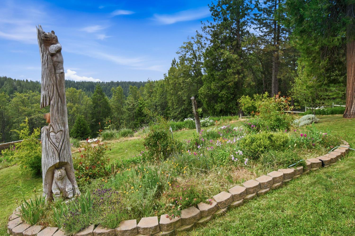 29070 Ridge View Road Foresthill, CA 95631 - Photo 45 of 66