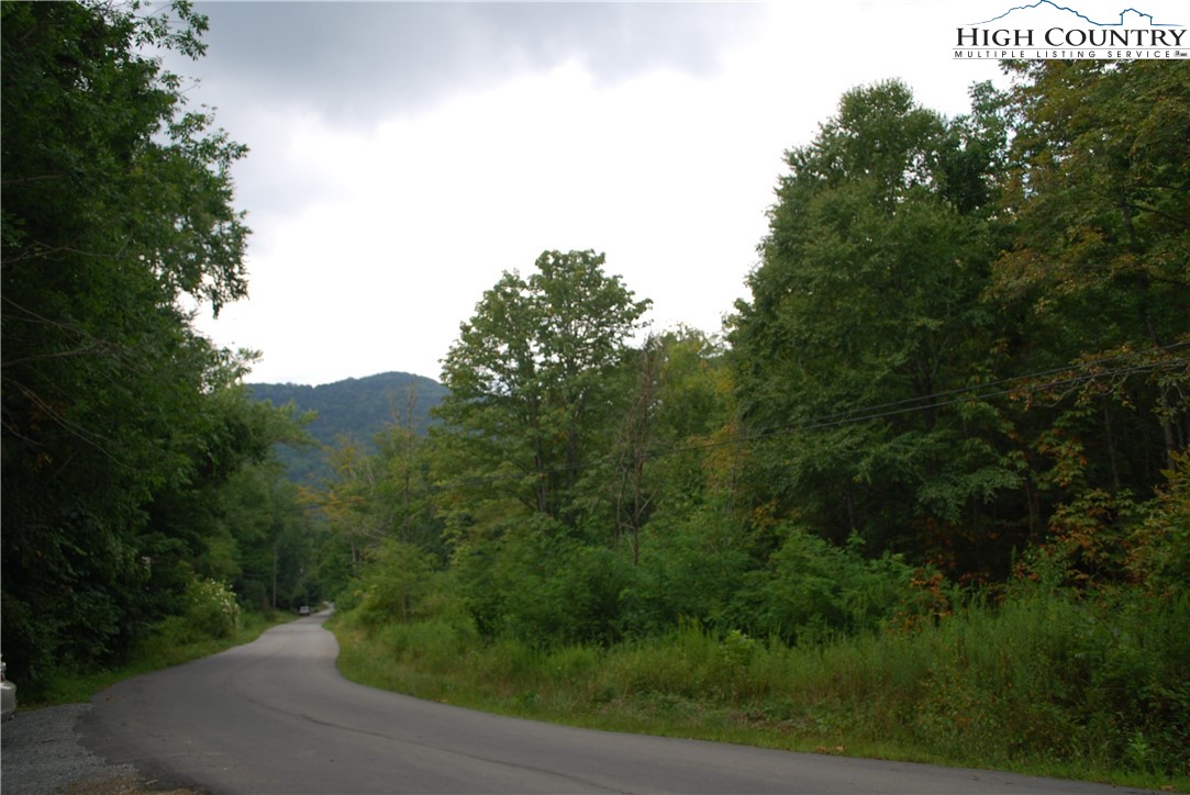 John Erwin Road Banner Elk, NC 28604 - Photo 1 of 20 Gallery Image 1