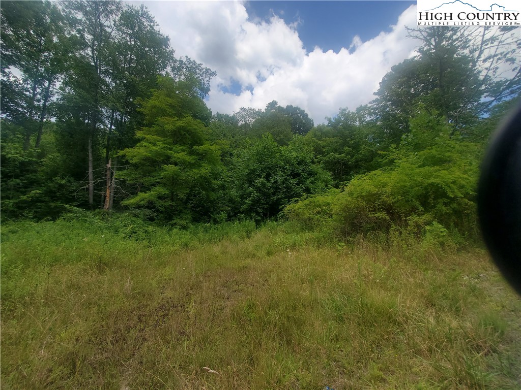 John Erwin Road Banner Elk, NC 28604 - Photo 11 of 20 Gallery Image 11