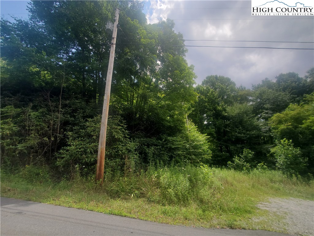John Erwin Road Banner Elk, NC 28604 - Photo 16 of 20 Gallery Image 16