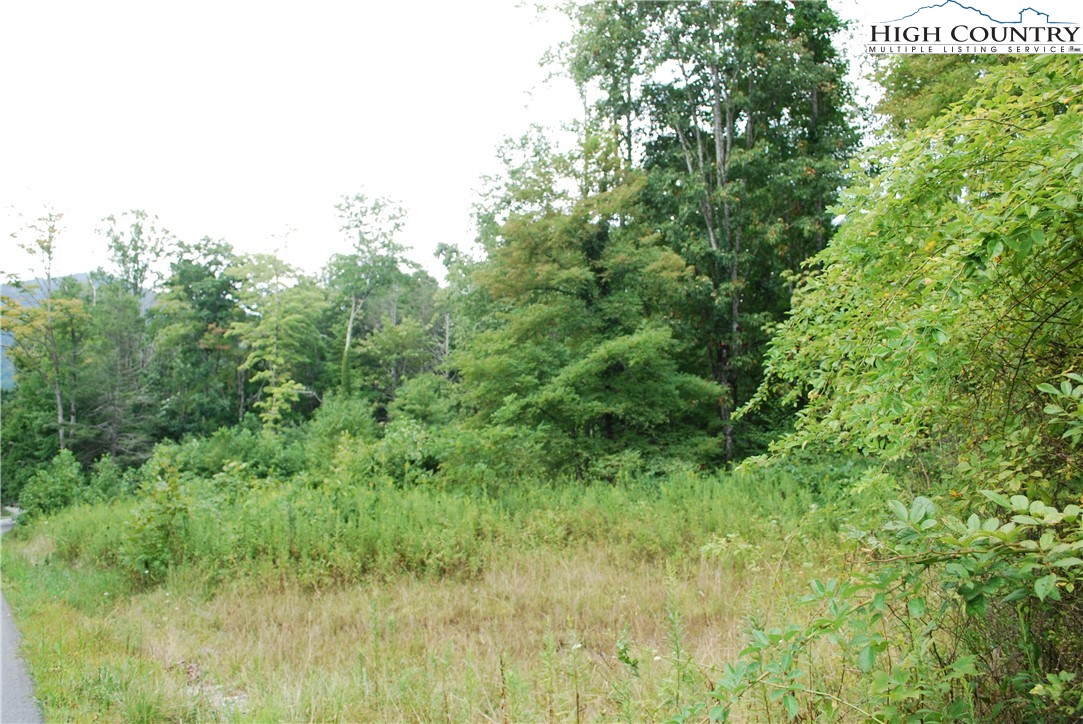 John Erwin Road Banner Elk, NC 28604 - Photo 6 of 20 Gallery Image 6