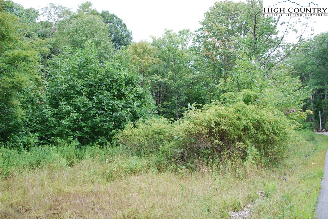 John Erwin Road Banner Elk, NC 28604 - Photo 7 of 20 Gallery Image 7