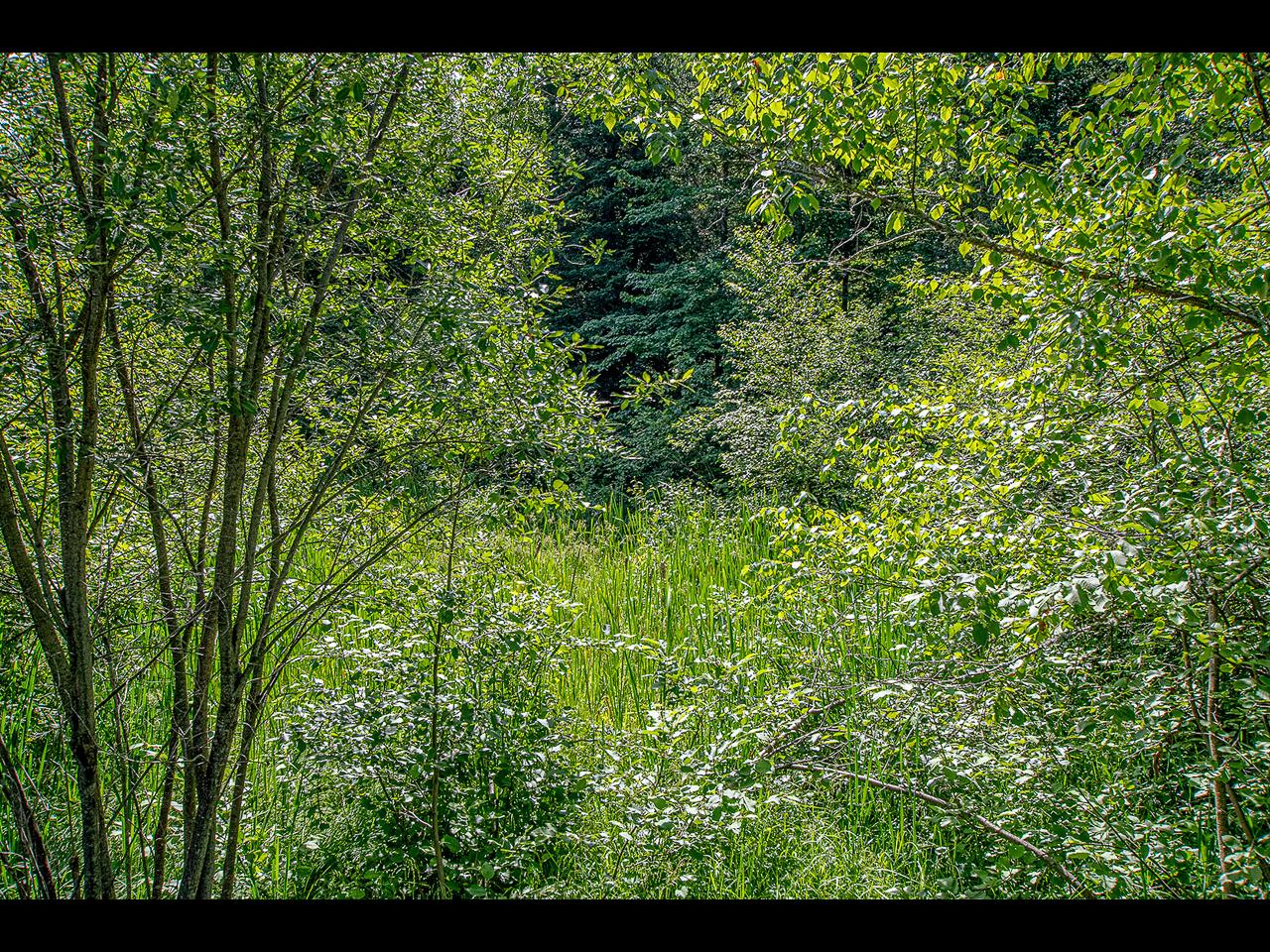 Lot 47 Frontier Road Presque Isle, WI 54557 - Photo 8 of 14 Gallery Image 8