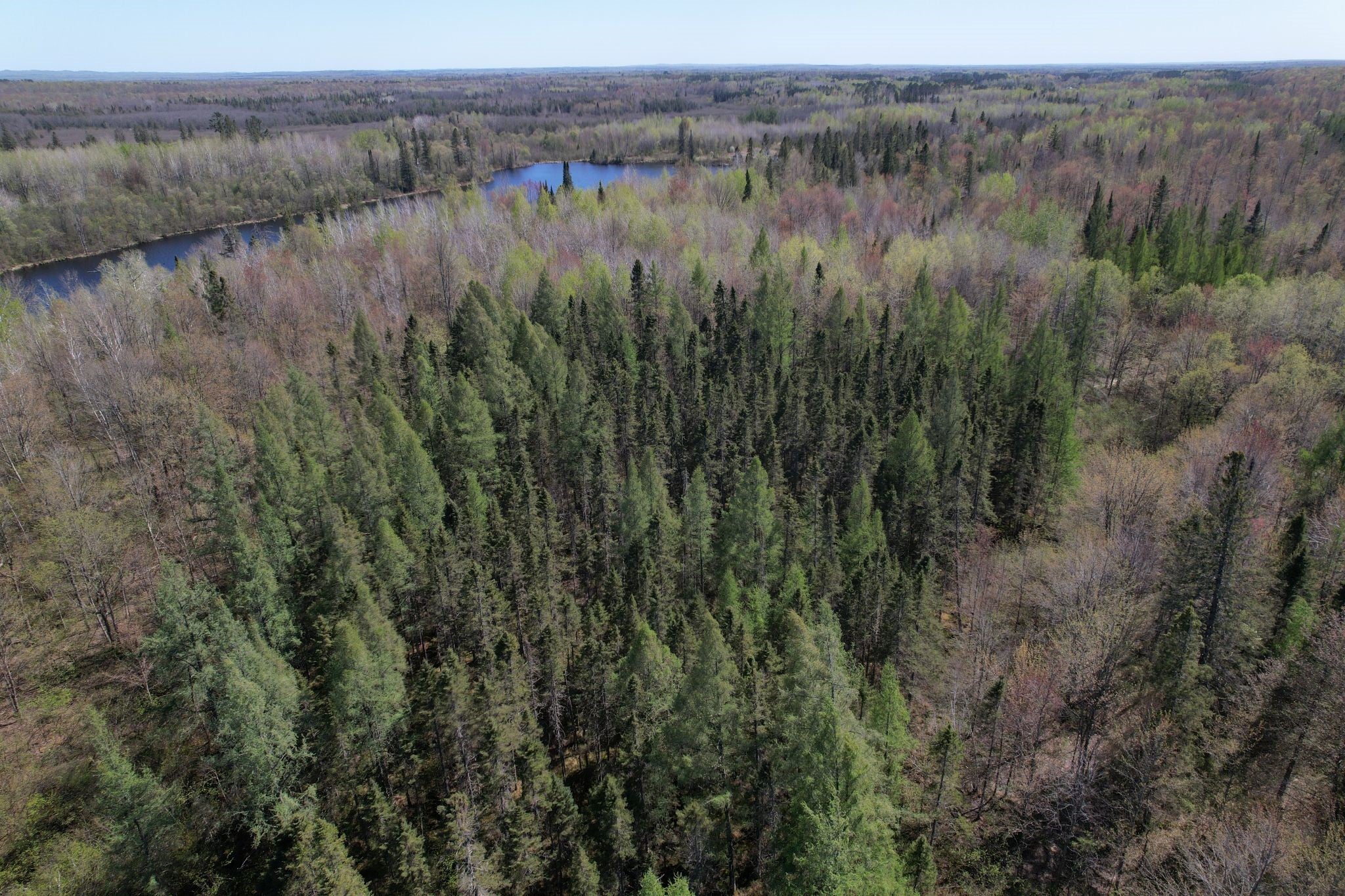 Off Hay Creek Road Prentice, WI 54556 - Photo 21 of 44 Gallery Image 21