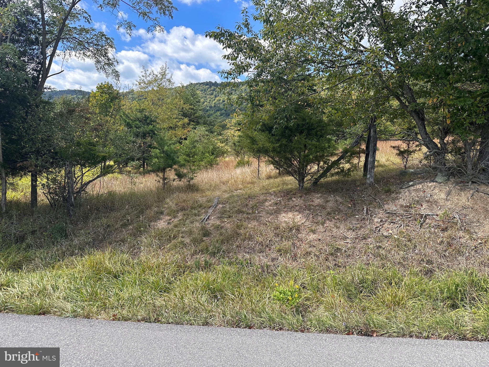 Knobley Road Keyser, WV 26726 - Photo 14 of 19
