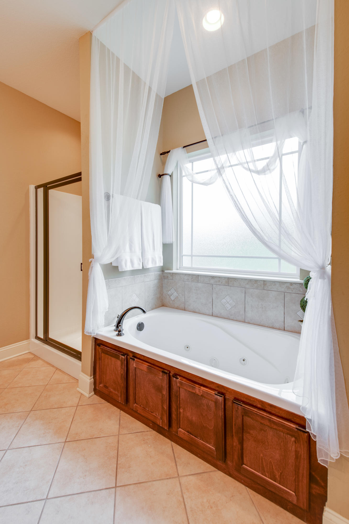 723 Windrush Loop Chattanooga, TN 37421 - Photo 12 of 19 D85_0788