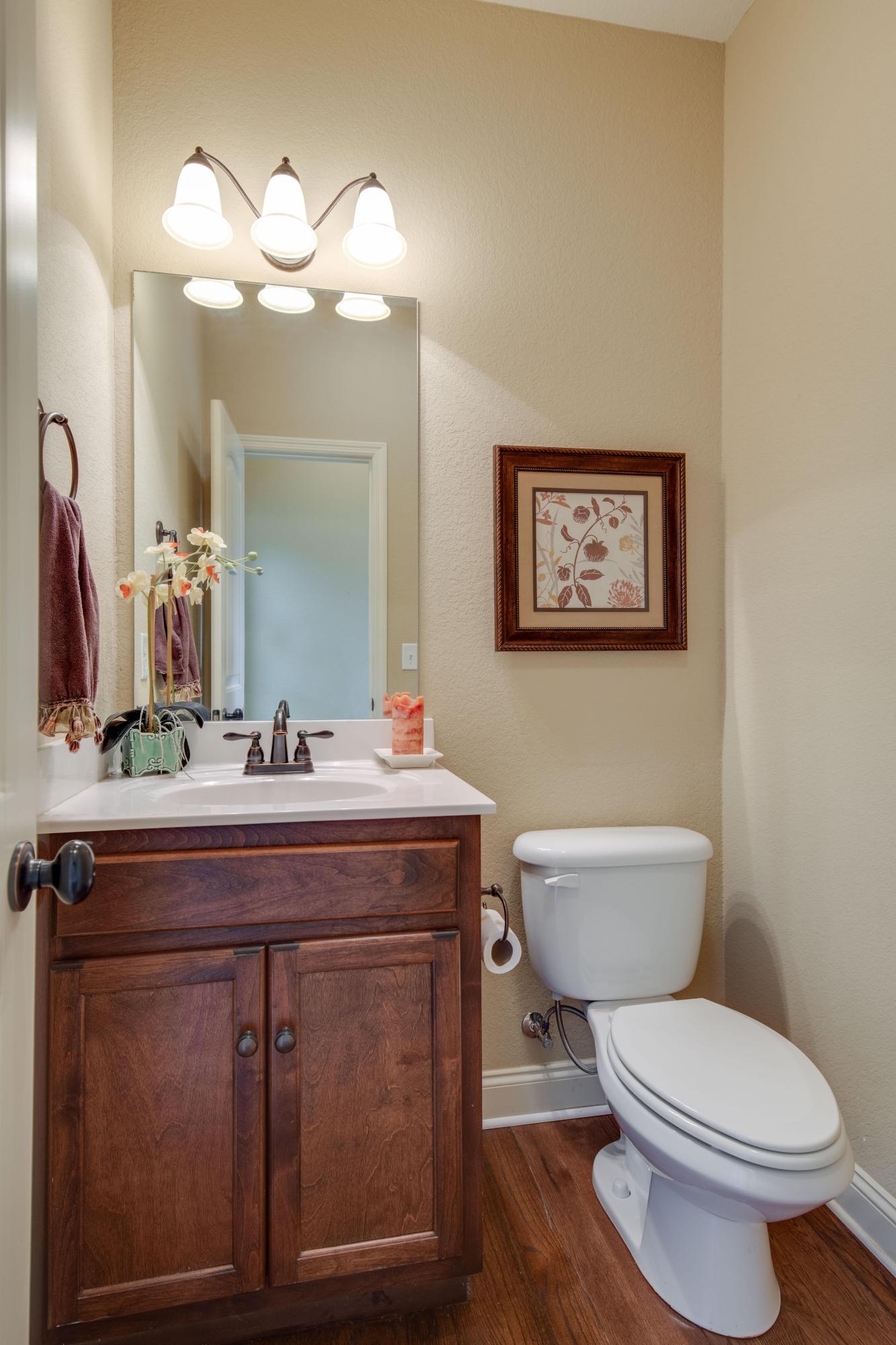723 Windrush Loop Chattanooga, TN 37421 - Photo 8 of 19 D85_0725