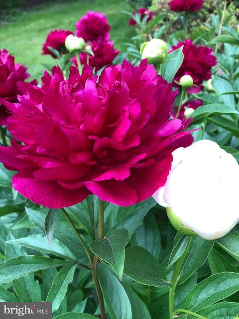 105 Brook Valley Road Wilmington, DE 19807 - Photo 33 of 44