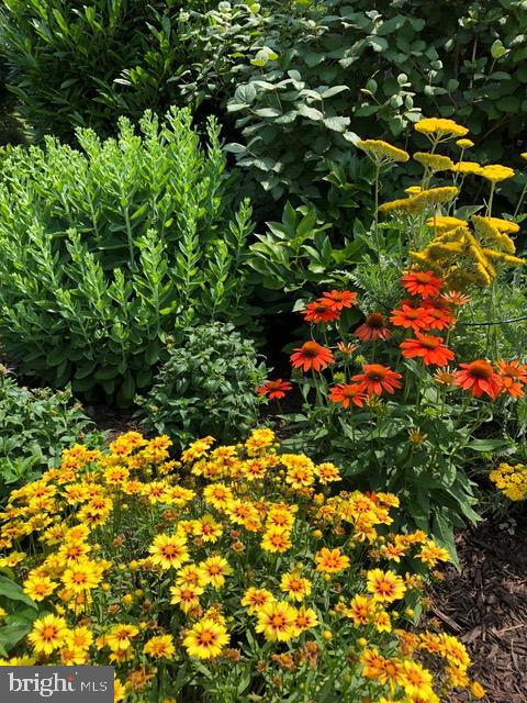 105 Brook Valley Road Wilmington, DE 19807 - Photo 34 of 44