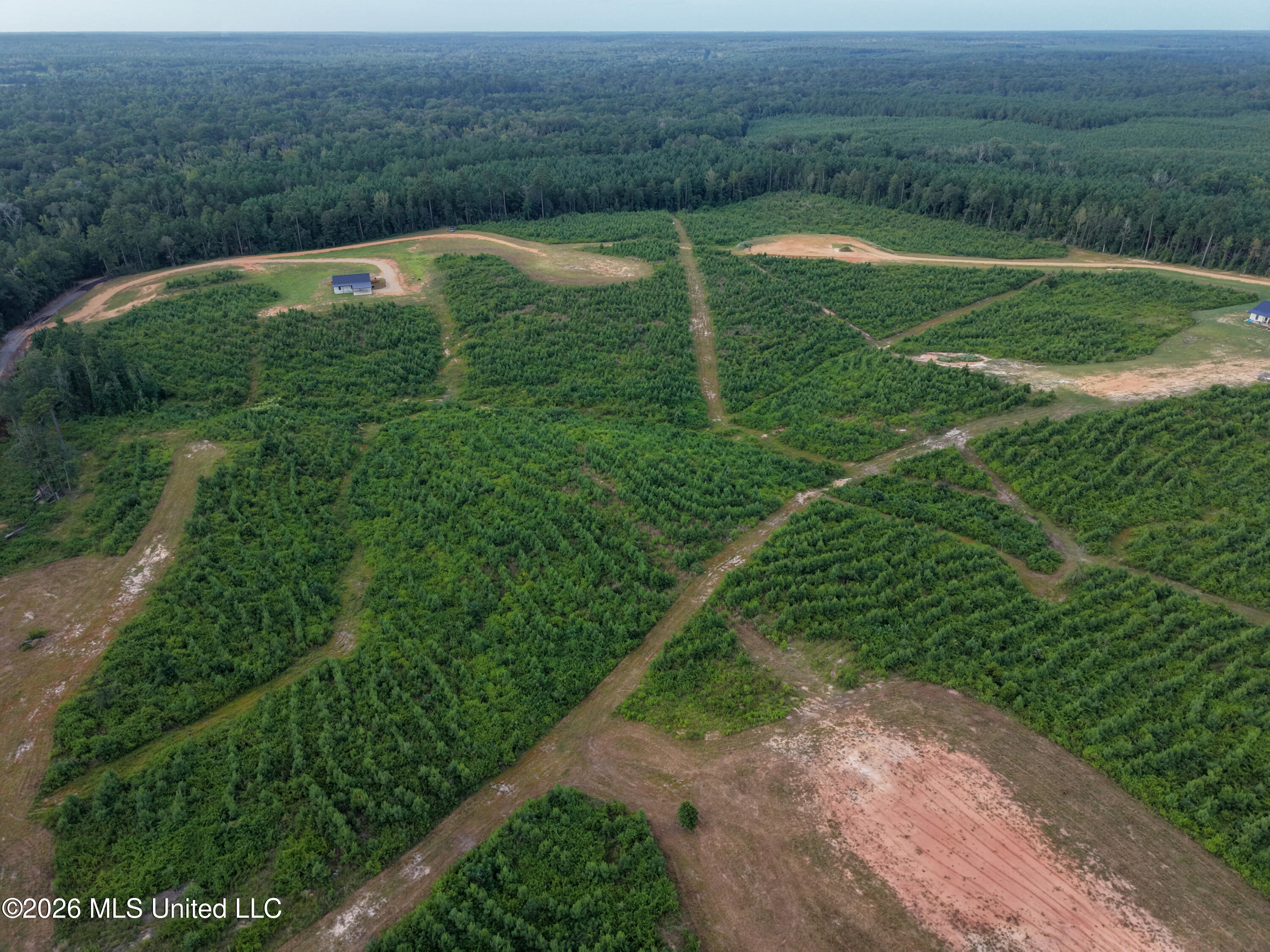 8 Fire House Road Liberty, MS 39645 - Photo 12 of 18 Sunset Hill-19