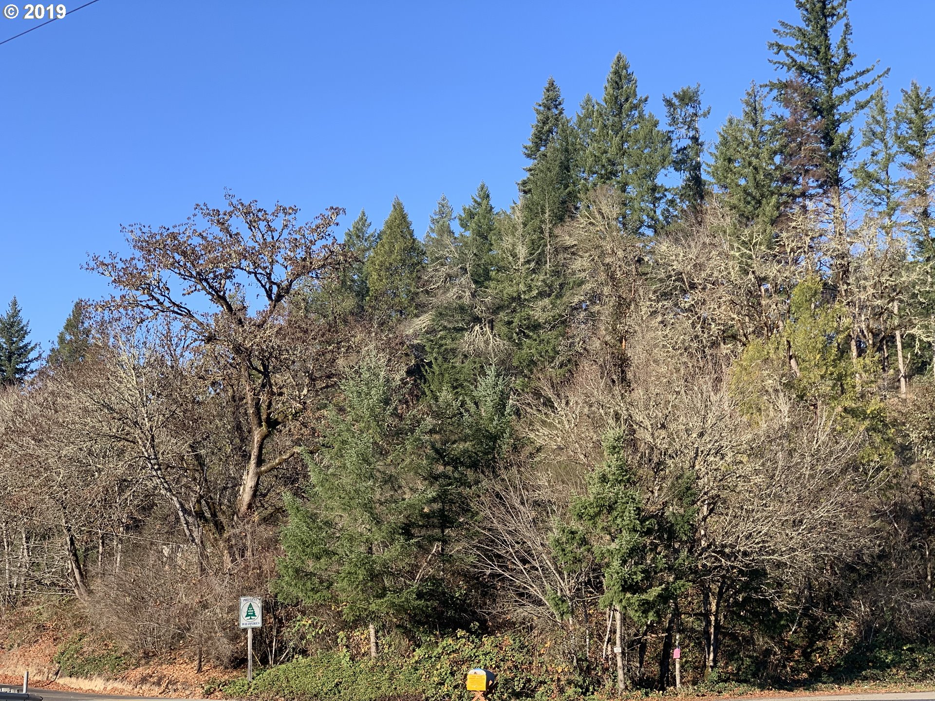 175 Upper Smith River Road Drain, OR 97435 - Photo 1 of 18 Gallery Image 1
