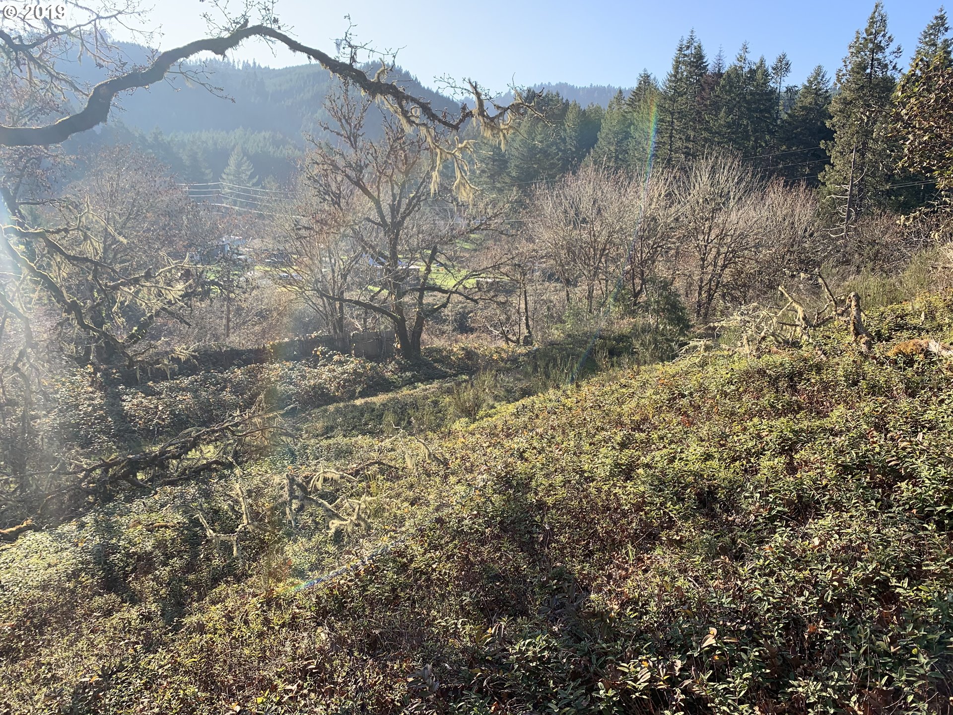 175 Upper Smith River Road Drain, OR 97435 - Photo 11 of 18 Gallery Image 11