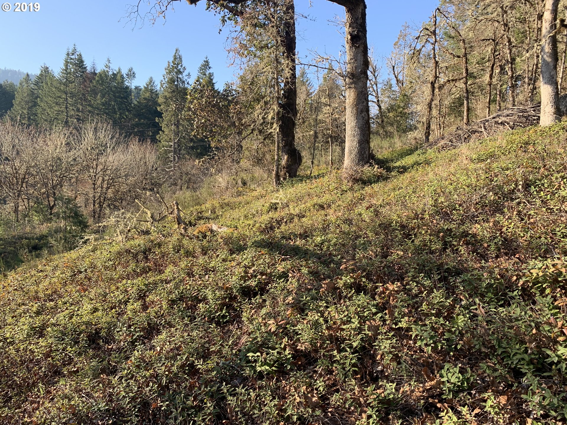 175 Upper Smith River Road Drain, OR 97435 - Photo 13 of 18 Gallery Image 13