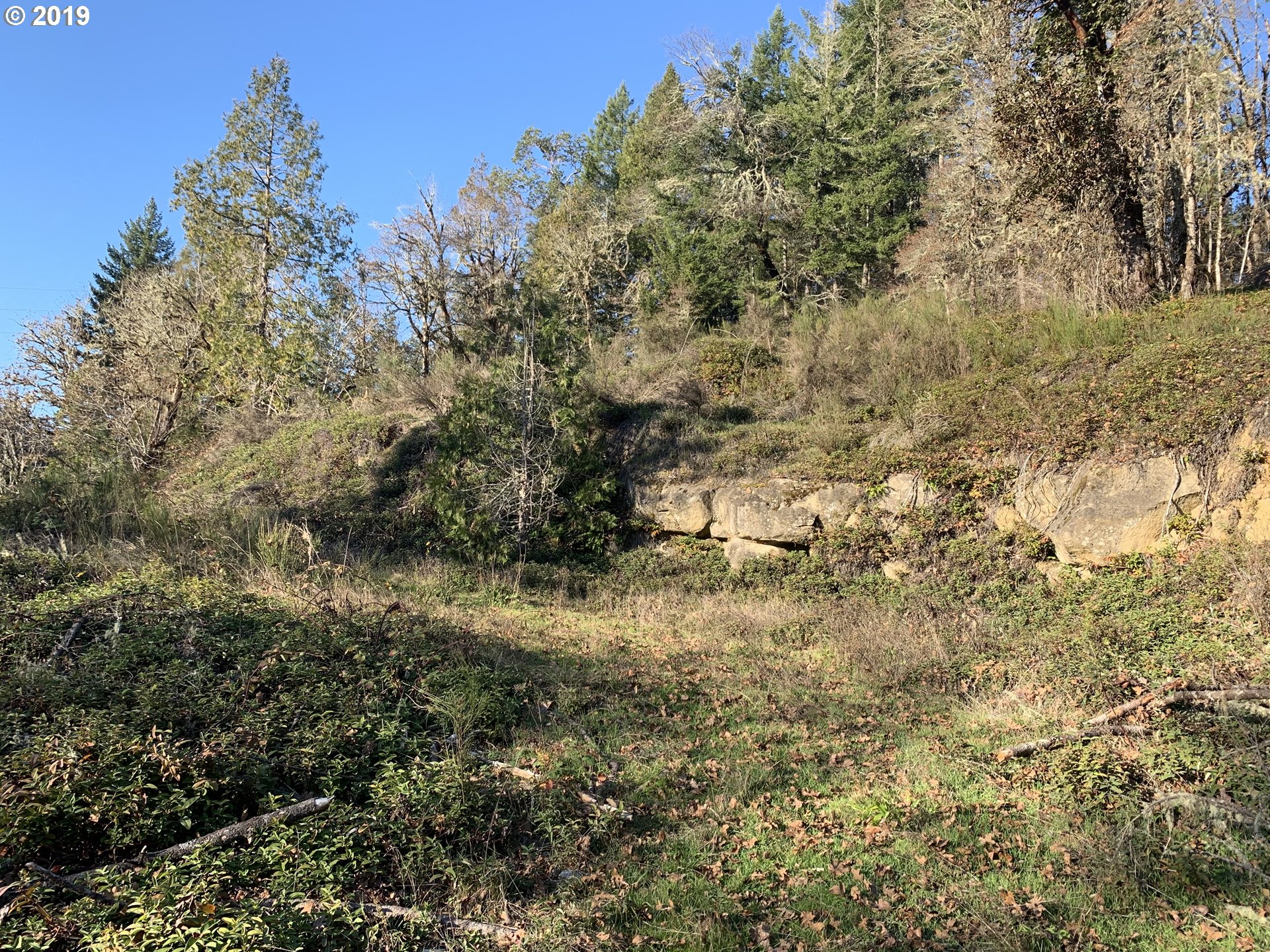 175 Upper Smith River Road Drain, OR 97435 - Photo 14 of 18 Gallery Image 14
