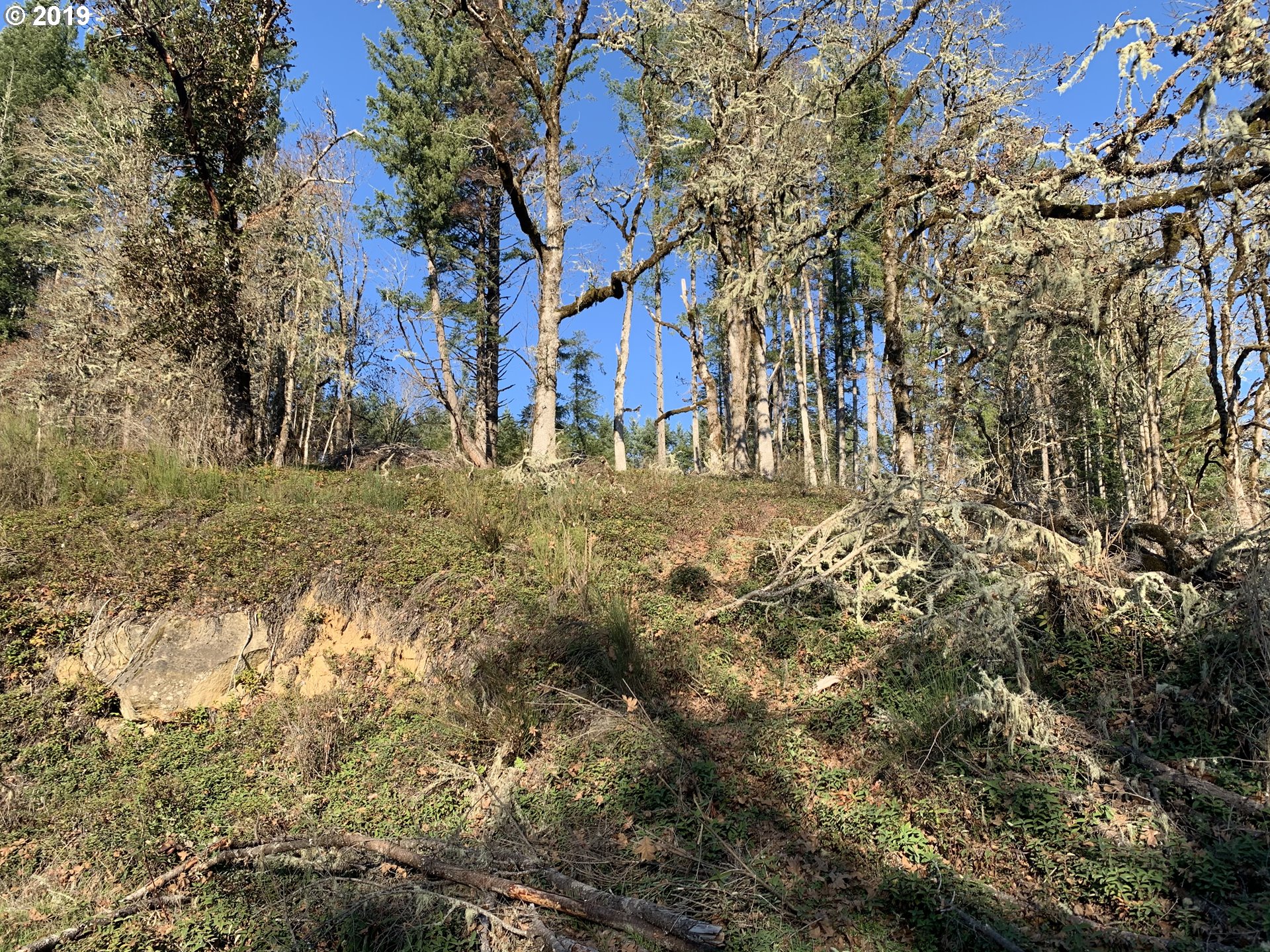 175 Upper Smith River Road Drain, OR 97435 - Photo 15 of 18 Gallery Image 15