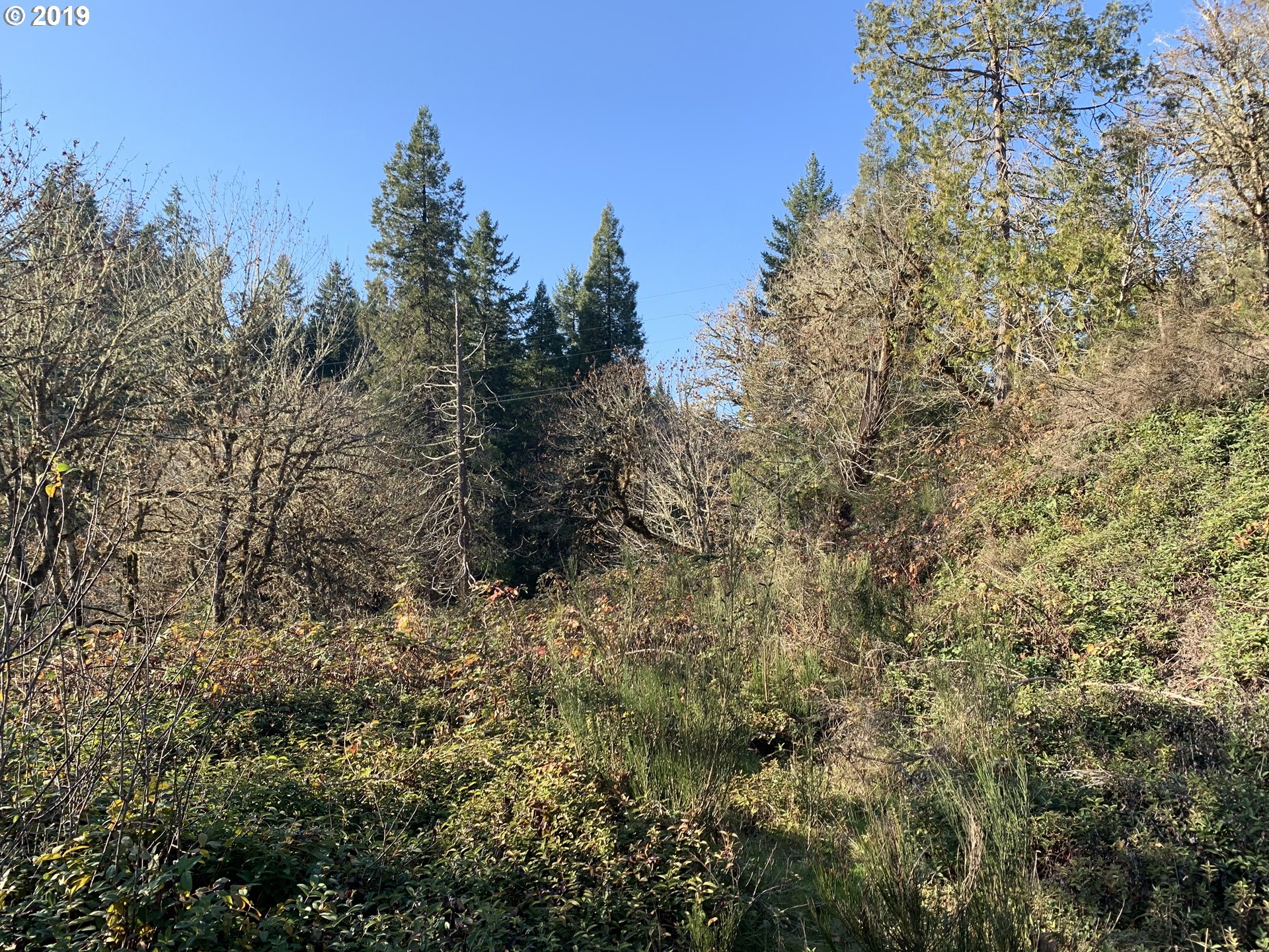 175 Upper Smith River Road Drain, OR 97435 - Photo 16 of 18 Gallery Image 16