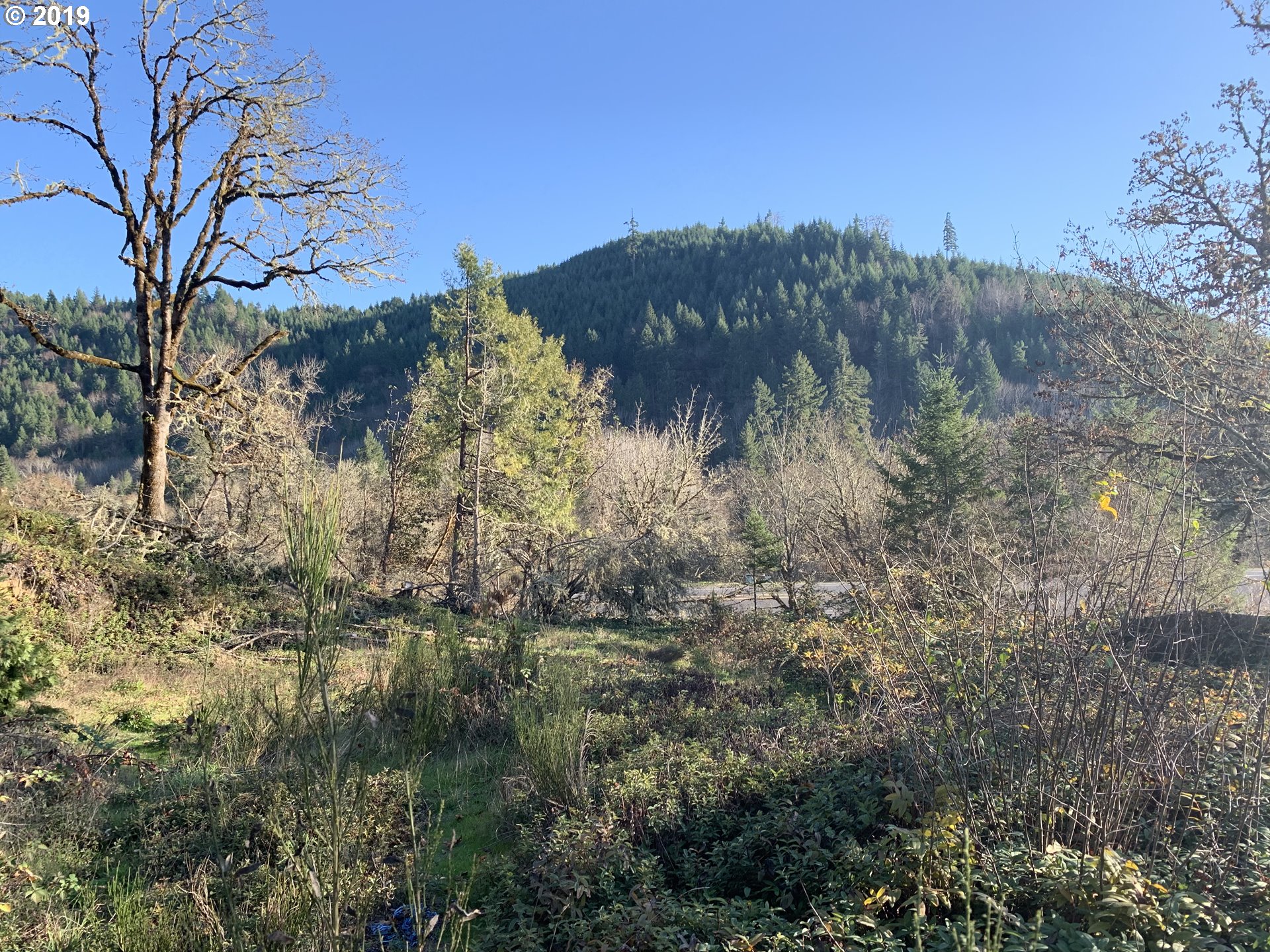 175 Upper Smith River Road Drain, OR 97435 - Photo 18 of 18 Gallery Image 18