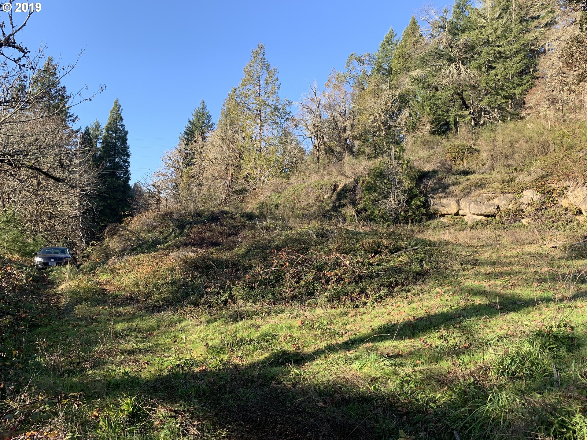 175 Upper Smith River Road Drain, OR 97435 - Photo 3 of 18 Gallery Image 3