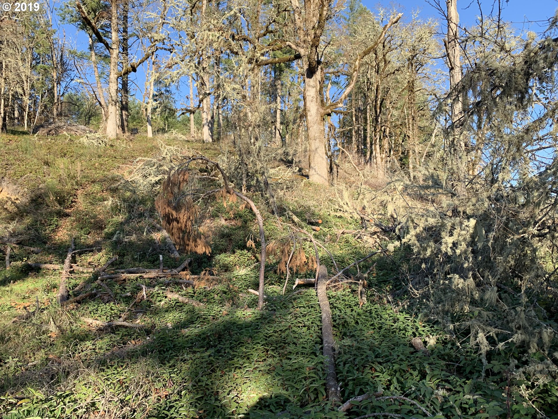 175 Upper Smith River Road Drain, OR 97435 - Photo 5 of 18 Gallery Image 5