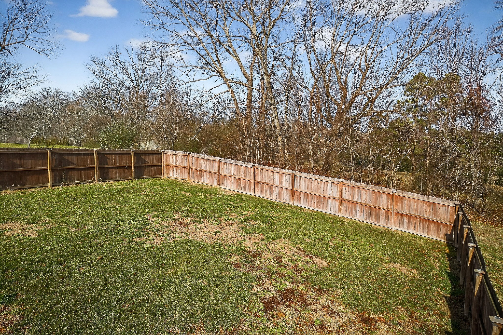 4029 Buffalo Valley Road Cookeville, TN 38501 - Photo 11 of 36 a view of a backyard