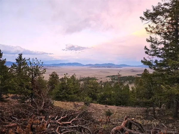 $89,000 | 24807 Satanta Trail, Hartsel, CO 80449