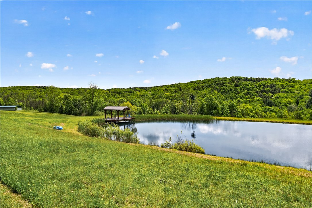 121 Lang Road Spencer, NY 14883 - Photo 12 of 49