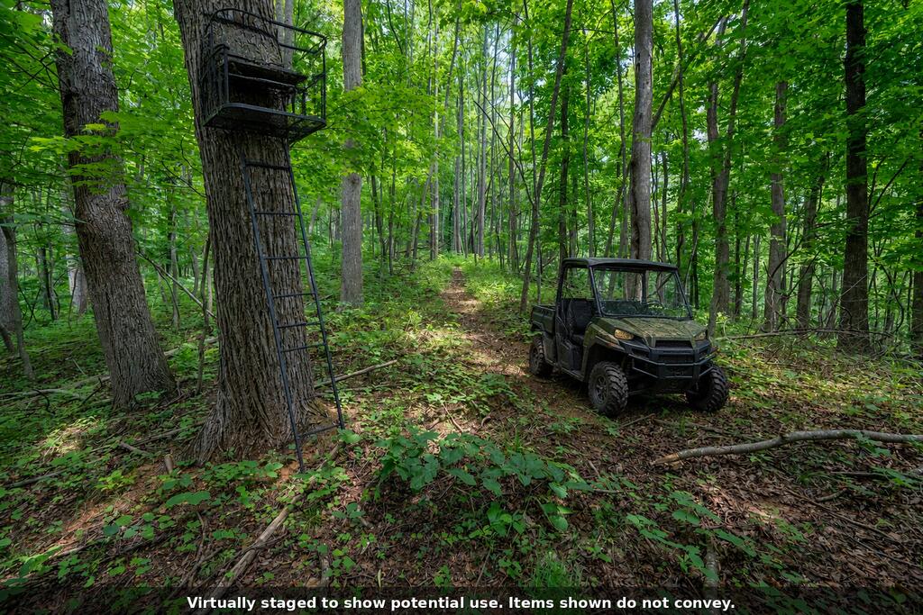 72-acres Trot Valley Road Stuart, VA 24171 - Photo 27 of 31 Gallery Image 27