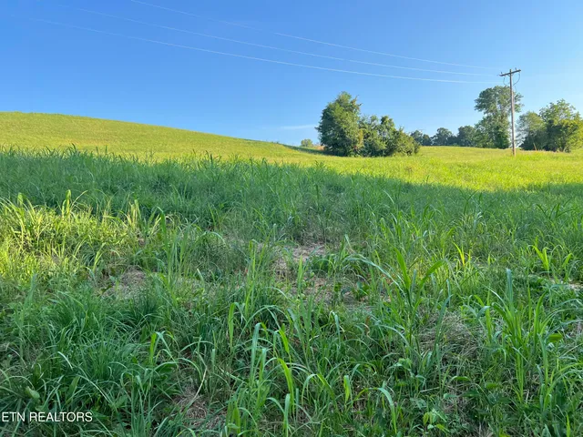 $40,000 | Lot 20 Amonett Circle, Byrdstown, TN 38549