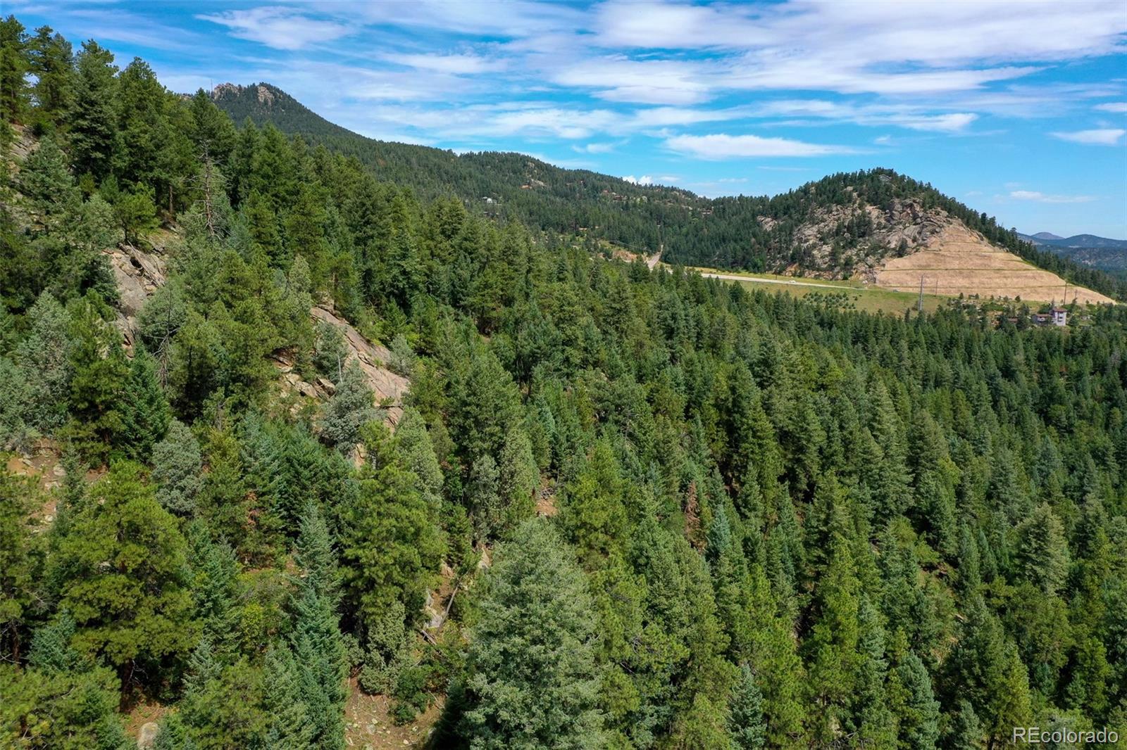 9206 Broken Bow Ranch Road Morrison, CO 80465 - Photo 13 of 15 a view of a lush green forest with a lush green forest