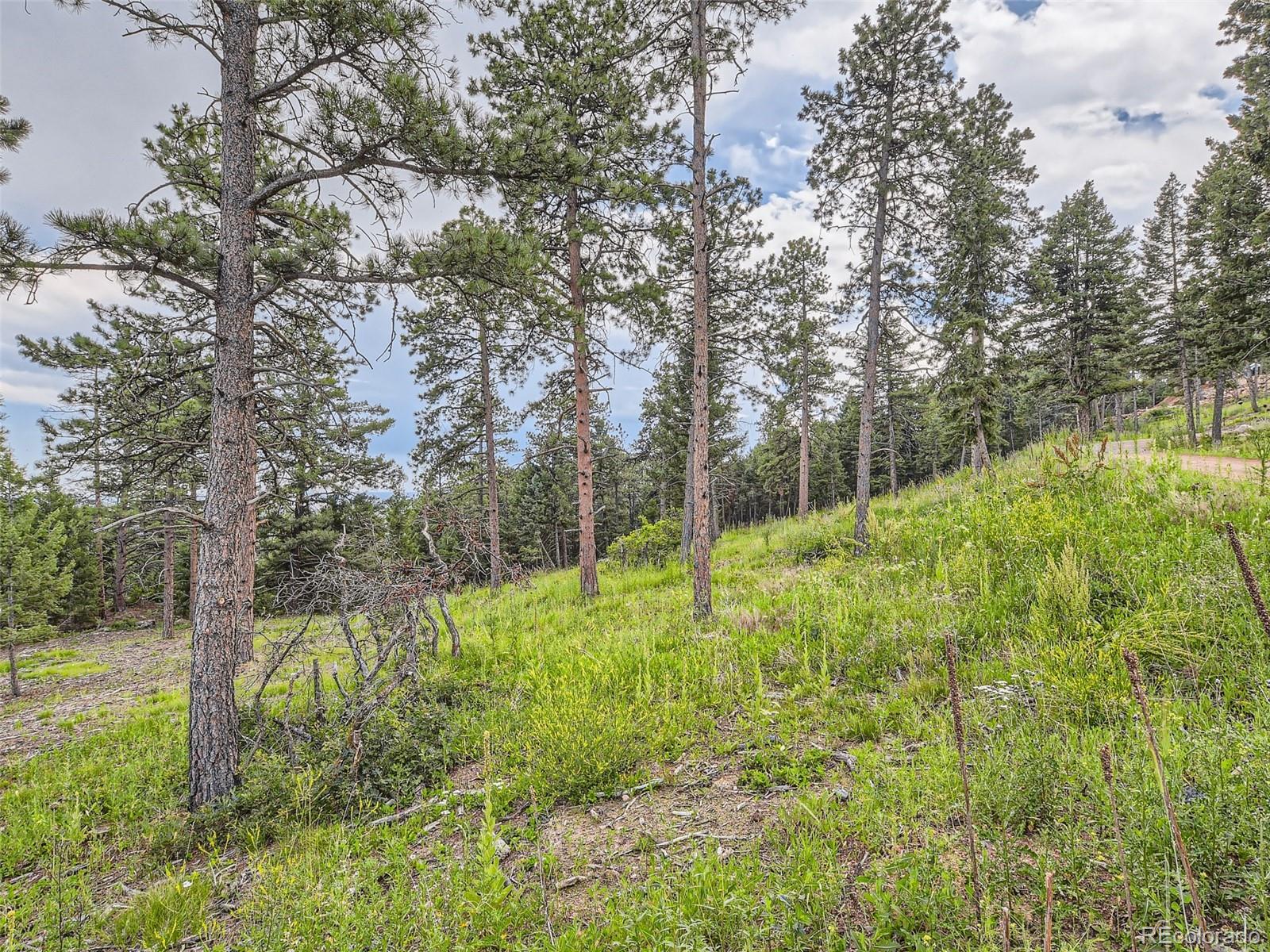 9206 Broken Bow Ranch Road Morrison, CO 80465 - Photo 3 of 15 a backyard of a house with lots of green space and chair