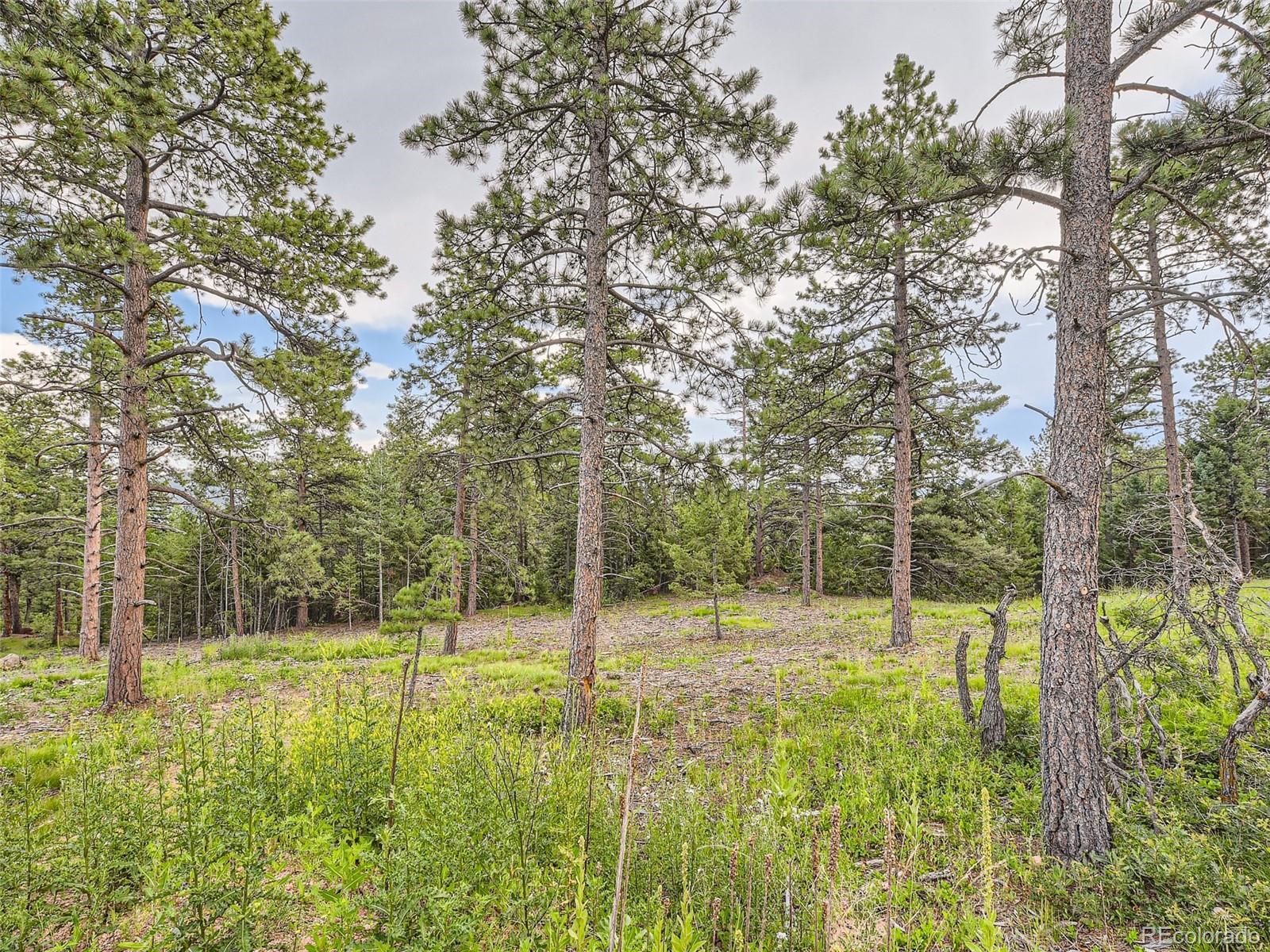 9206 Broken Bow Ranch Road Morrison, CO 80465 - Photo 4 of 15 a view of outdoor space with deck and trees