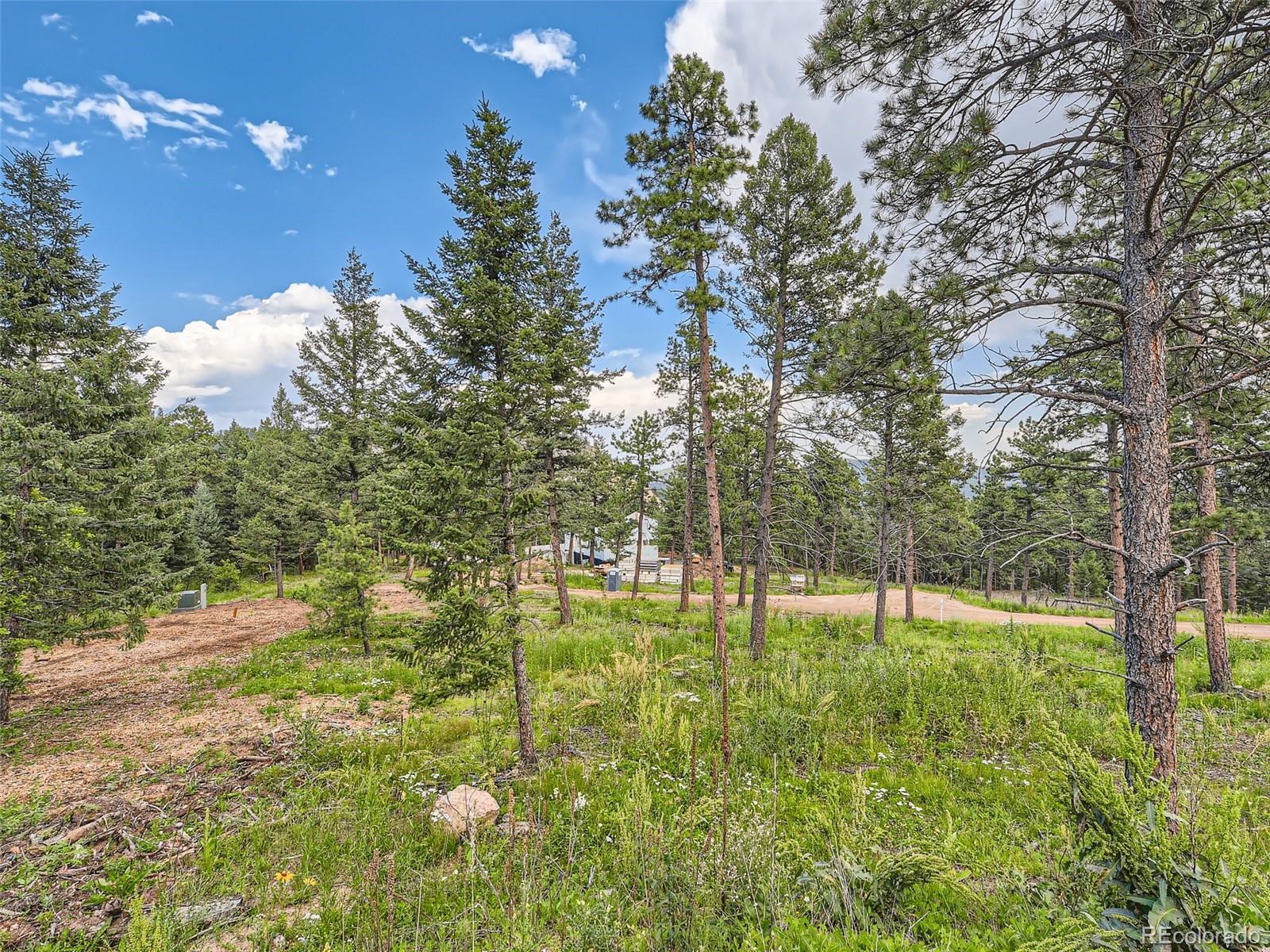 9206 Broken Bow Ranch Road Morrison, CO 80465 - Photo 7 of 15 a view of yard with tree