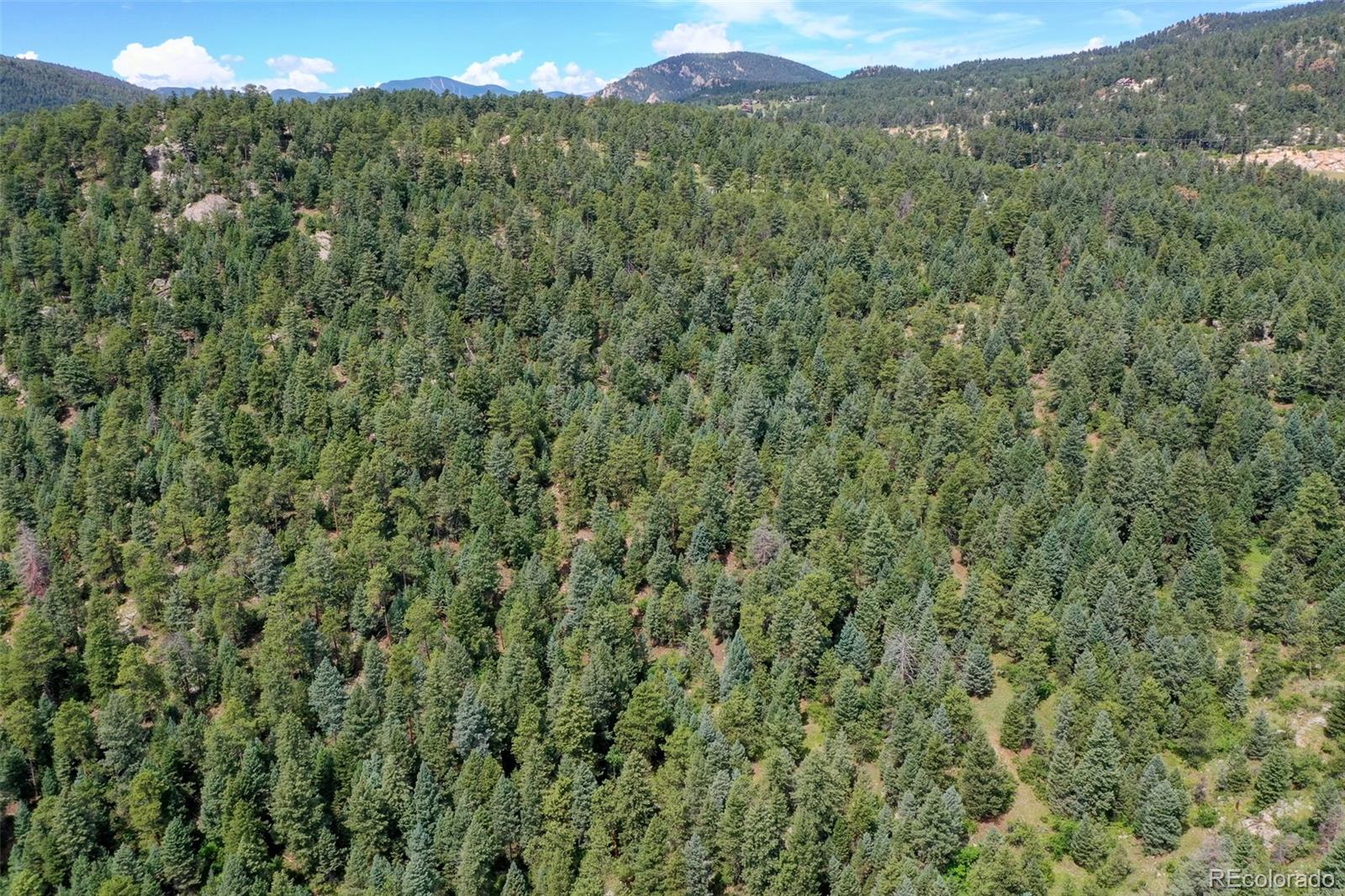9206 Broken Bow Ranch Road Morrison, CO 80465 - Photo 8 of 15 a view of a lush green forest with a mountain in the background