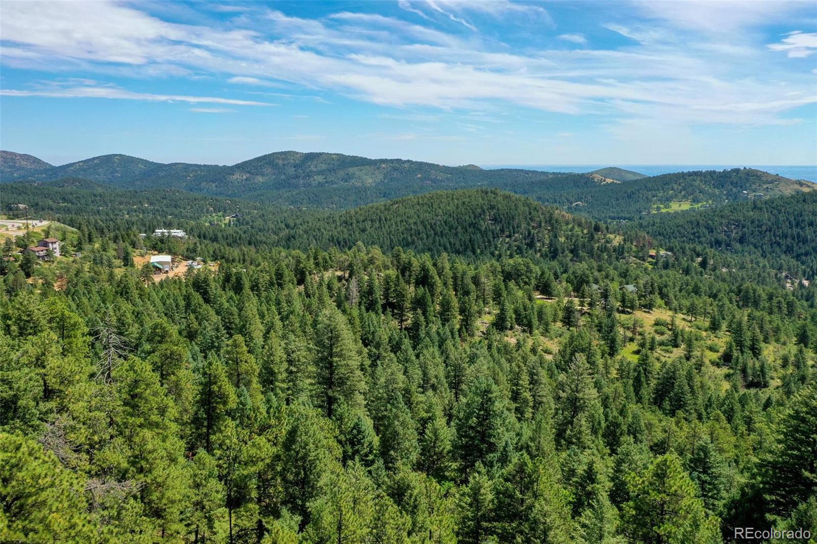 9206 Broken Bow Ranch Road Morrison, CO 80465 - Photo 10 of 15 a view of a lush green field with lots of bushes