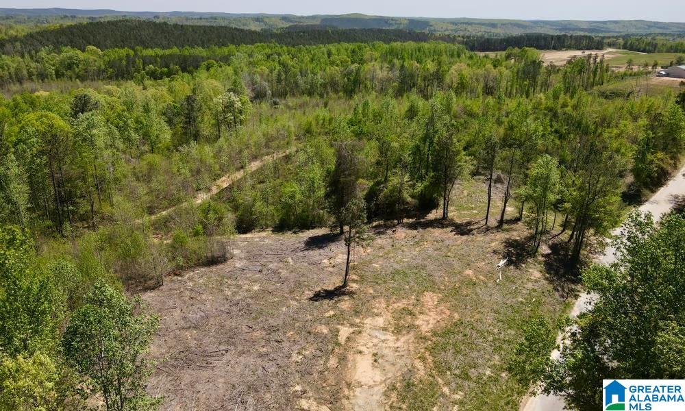 0 Landfill Road, Unit 1 Ashland, AL 36251 - Photo 6 of 15